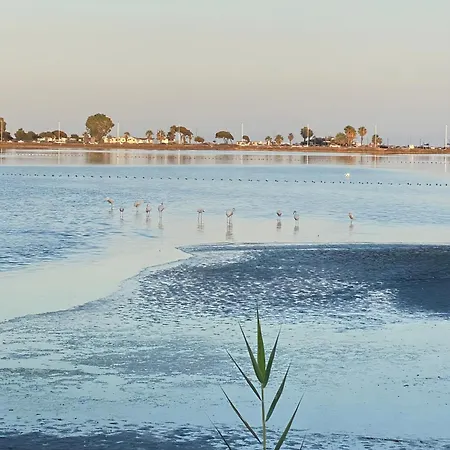 A 10 Minuti Dal Mare شقة *