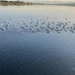 A 10 Minuti Dal Mare * クアルトゥ・サンテーレナ